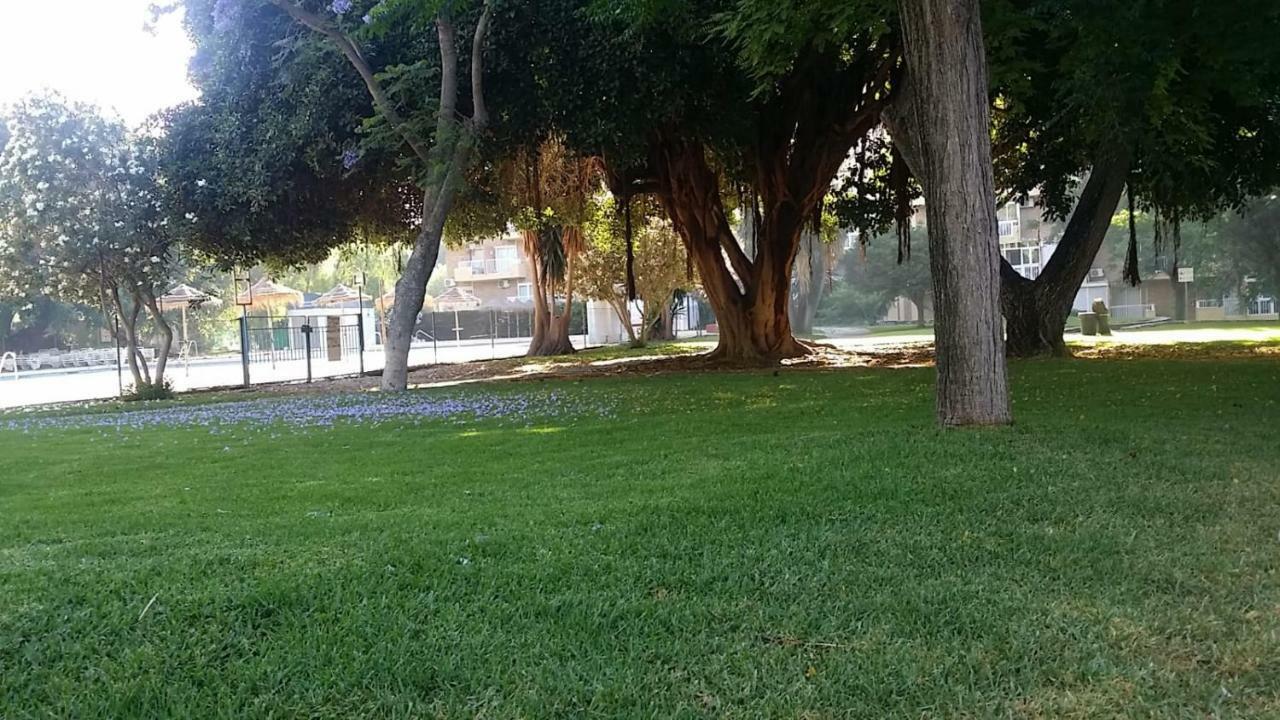 Estudio Edificio Iris 535